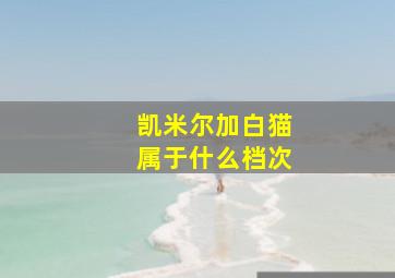 凯米尔加白猫属于什么档次