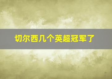 切尔西几个英超冠军了