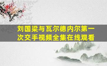 刘国梁与瓦尔德内尔第一次交手视频全集在线观看