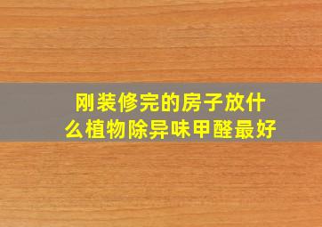 刚装修完的房子放什么植物除异味甲醛最好