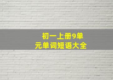 初一上册9单元单词短语大全