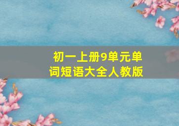 初一上册9单元单词短语大全人教版