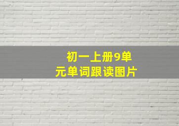 初一上册9单元单词跟读图片