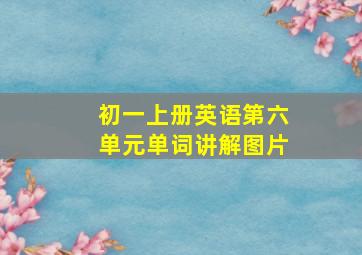 初一上册英语第六单元单词讲解图片