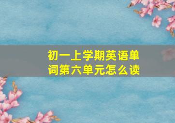 初一上学期英语单词第六单元怎么读