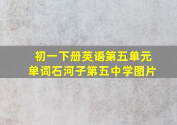 初一下册英语第五单元单词石河子第五中学图片