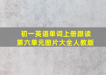 初一英语单词上册跟读第六单元图片大全人教版