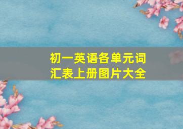 初一英语各单元词汇表上册图片大全