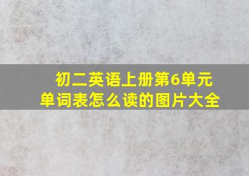 初二英语上册第6单元单词表怎么读的图片大全