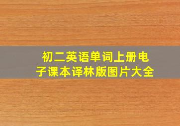 初二英语单词上册电子课本译林版图片大全