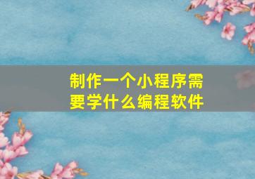 制作一个小程序需要学什么编程软件