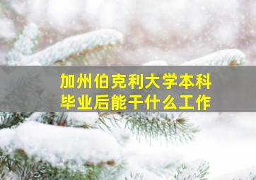 加州伯克利大学本科毕业后能干什么工作