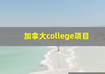 加拿大college项目