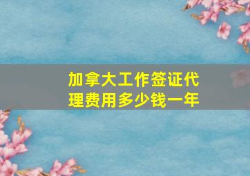 加拿大工作签证代理费用多少钱一年