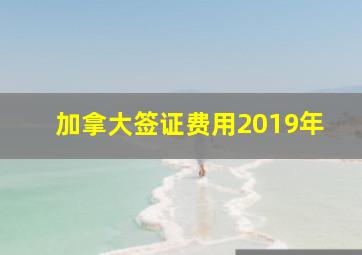 加拿大签证费用2019年