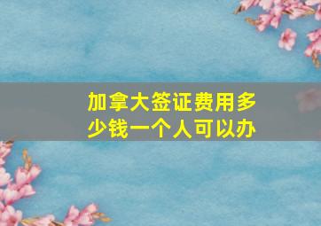 加拿大签证费用多少钱一个人可以办