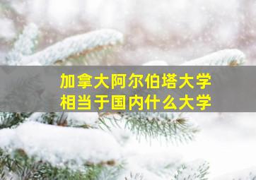 加拿大阿尔伯塔大学相当于国内什么大学