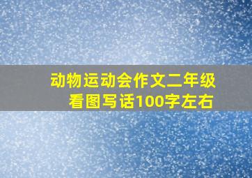 动物运动会作文二年级看图写话100字左右