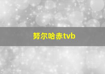 努尔哈赤tvb