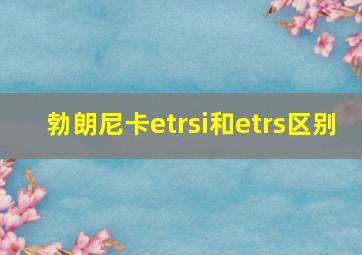 勃朗尼卡etrsi和etrs区别