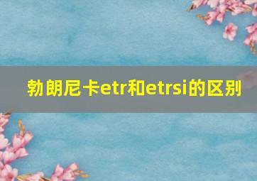 勃朗尼卡etr和etrsi的区别