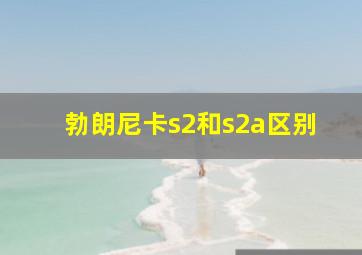 勃朗尼卡s2和s2a区别