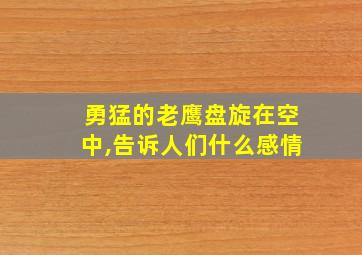 勇猛的老鹰盘旋在空中,告诉人们什么感情