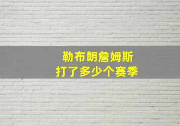 勒布朗詹姆斯打了多少个赛季