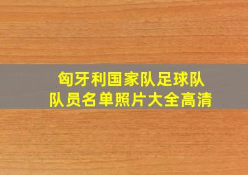 匈牙利国家队足球队队员名单照片大全高清