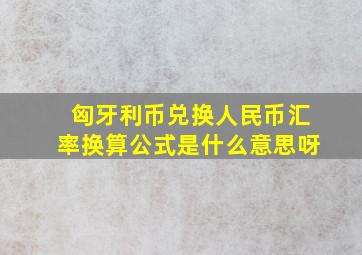 匈牙利币兑换人民币汇率换算公式是什么意思呀