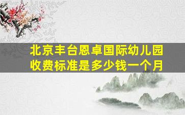 北京丰台恩卓国际幼儿园收费标准是多少钱一个月