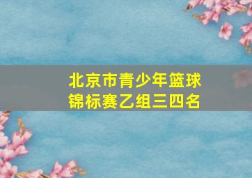 北京市青少年篮球锦标赛乙组三四名