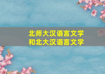 北师大汉语言文学和北大汉语言文学