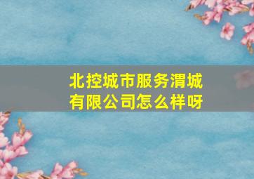 北控城市服务渭城有限公司怎么样呀