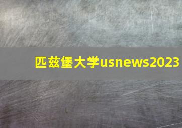 匹兹堡大学usnews2023