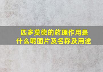 匹多莫德的药理作用是什么呢图片及名称及用途