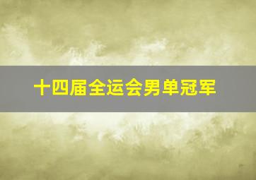 十四届全运会男单冠军