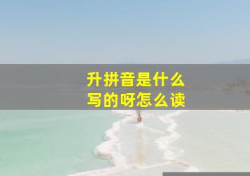 升拼音是什么写的呀怎么读