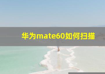 华为mate60如何扫描