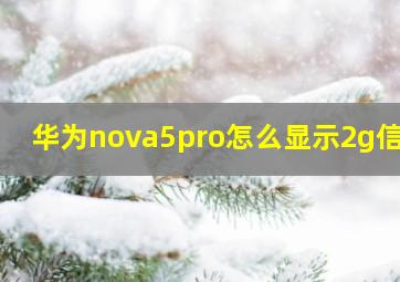 华为nova5pro怎么显示2g信号