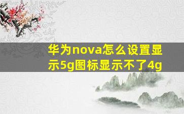 华为nova怎么设置显示5g图标显示不了4g