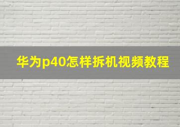 华为p40怎样拆机视频教程