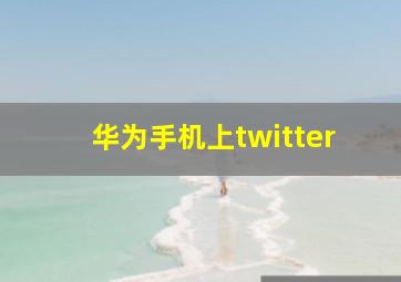 华为手机上twitter