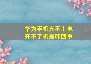 华为手机充不上电开不了机是咋回事