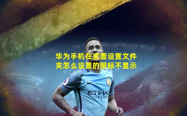 华为手机在桌面设置文件夹怎么设置的图标不显示