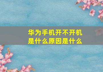 华为手机开不开机是什么原因是什么