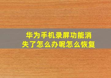 华为手机录屏功能消失了怎么办呢怎么恢复