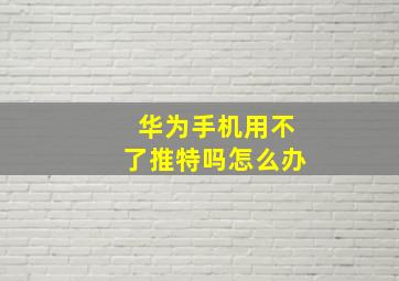 华为手机用不了推特吗怎么办