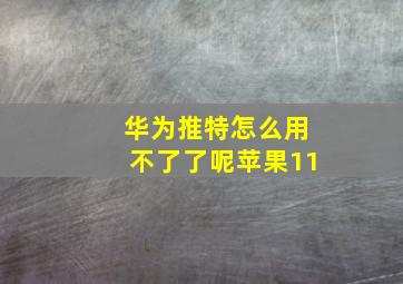 华为推特怎么用不了了呢苹果11