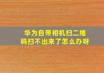 华为自带相机扫二维码扫不出来了怎么办呀